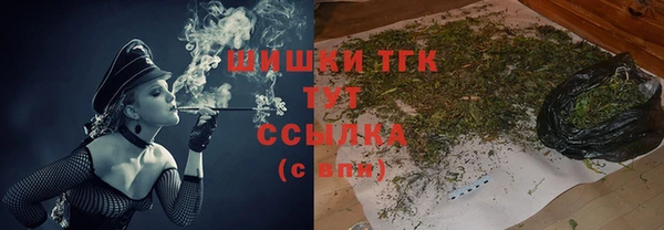амф Магас